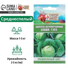 White cabbage seeds 