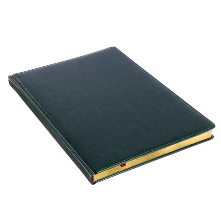 Diary of Leduced A4, 136 sheets of Sidney Nebraska, solid cover, artificial leather, gold cut, liesse, green-1
