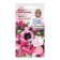 Flowers of Petunia "black triumph", 10 pcs