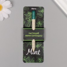 Growing gift pencils Mini 