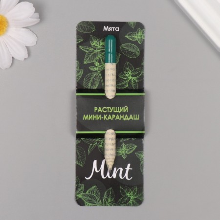 Growing gift pencils Mini "Mint"