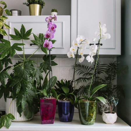 Pot for orchids, 2.5 l, 16.4 × 18.5 cm, plastic, transparent green-3