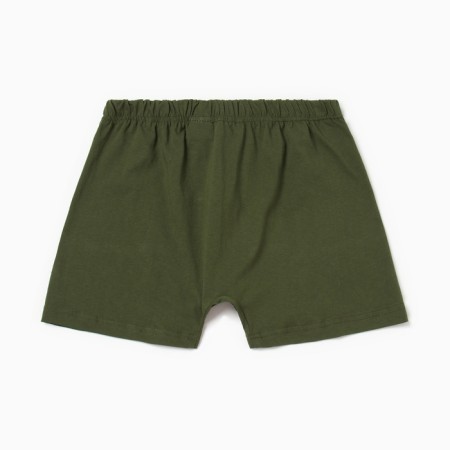 Panties men's boxers Colorista Color Khaki, Rr. 44-46-2
