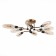 Ceiling Ceiling ST LUCE. SL1174.302.08. Desima. 8x5 watts, G9, 4000k, 92x92x17 cm, brass color