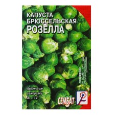 Brussels cabbage seeds 
