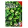 Brussels cabbage seeds "Rosella", 0.4 g