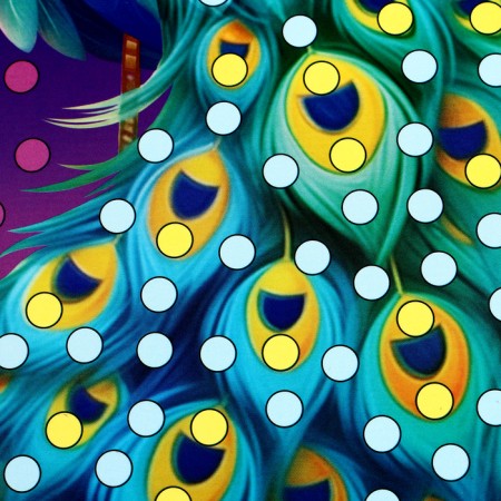 Application by pearl semi -busins ​​"Beautiful Peacock"-5