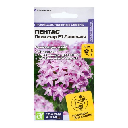 Pentas flowers "Lucky Star" F1 Laverter Lanceta, c/n, 3 pcs.