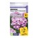 Pentas flowers "Lucky Star" F1 Laverter Lanceta, c/n, 3 pcs.