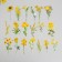 Stickers for creativity PLC PVC "Solar Polyana" set 40 pcs 9x10.5 cm