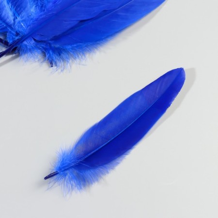 A set of goose feathers 15-20 cm, 10 pcs, blue with silver chips-3