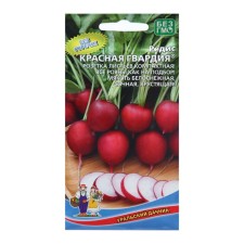 Seeds Radis 