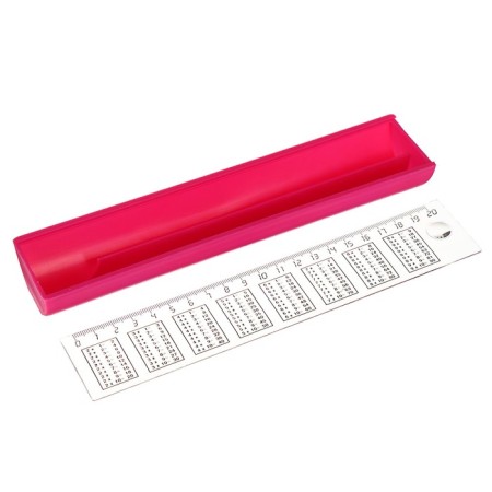 Penal of an excellent student with a ruler, plastic, mix-1