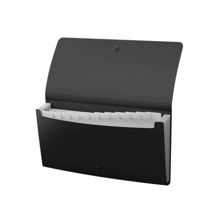 Folder folder, 260 x 138 mm (Travel), 12 departments, 600 μm, Erichkrause "Matt Classic", on the button, embossing "sand", black-1