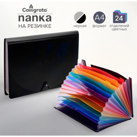 A4 elastic band, 24 departments (multi -colored), black-1