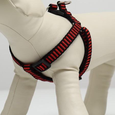Relief harness 36-49 x 1.5 cm, red-hourly-1