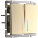 Two-valve switch with WL11-SW-2G-LED backlighting, champagne color
