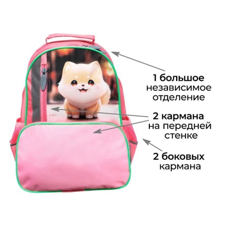 School backpack, 37 x 26 x 13 cm, ergonomic back, calligrata orth "Siba"-2
