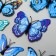 Magnet Plastic "Blue Blue" set 12 pcs
