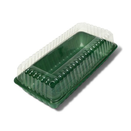 Mini-Pirate for seedlings, 44 × 22 × 12 cm, without inserts, Greengo-1