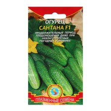Santana cucumber seeds, F1, 4 g