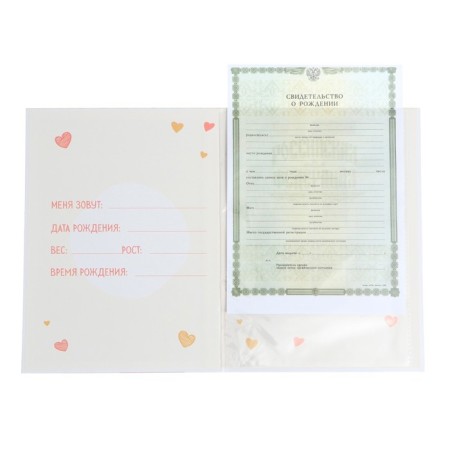 The folder for the birth certificate "Bear", 23.5 x 31.5 cm.-4