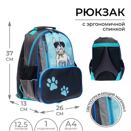 School backpack, 37 x 26 x 13 cm, ergonomic back, Calligrata ORT "BULDOG"