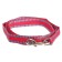 Leash of kapron -colored zoonik, 2 m x 2.5 cm, mix of flowers