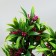 Bonsai in the pot "bright tree" 10x20 cm, mix