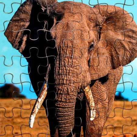 Puzzle series Fantasy "Elephant", 54 details, size - 28 × 18.5 cm-2