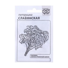 Semen parsley curly 