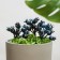 Set of plugs "Berries" 3pcs, blue, 15x6x6cm