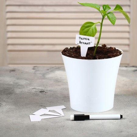 Garden signs for marking, 7 cm, set 20 pcs., Marker, plastic, white, Greengo-2