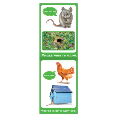 Books developing the set “We grow together”, 8 pcs. 20 p.-2