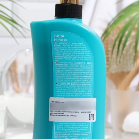 ABSOLUTE BLIK hair "Energy Ocean", 1000 ml-1