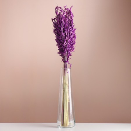 Set of dried flowers "oats", banch length 60-65 (+/- 6 cm), lilac