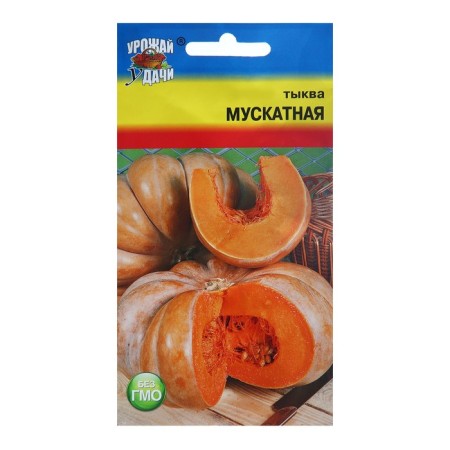Seeds of pumpkin "Muscat", 1 g-2