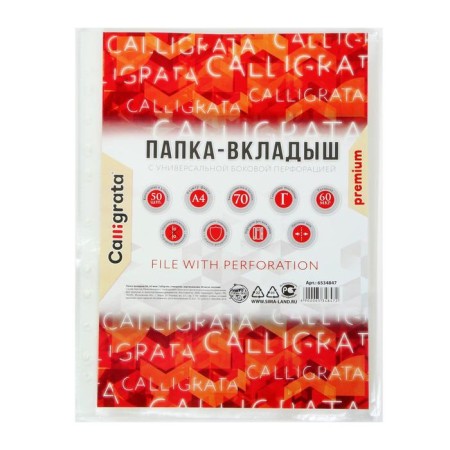 A4, 60 μm, calligrata, dense, glossy, vertical, 50 pieces-2