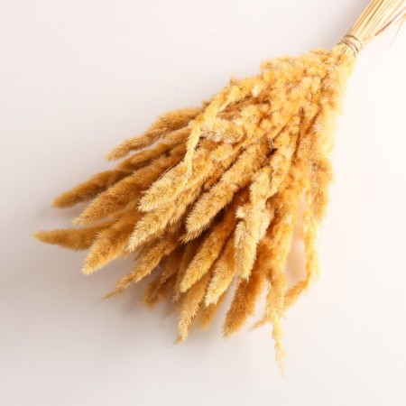Set of dried flowers "Weinik", banch length 60 (+/- 6 cm), natural-2