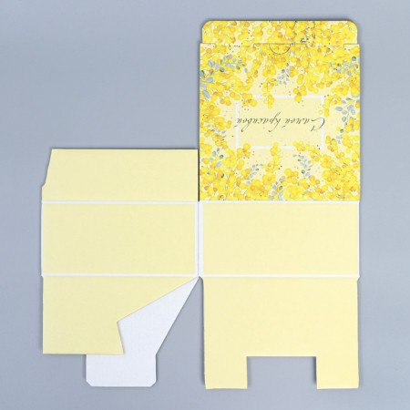 Box Gift team, packaging, “mimosa”, 15 x 15 x 7 cm-7