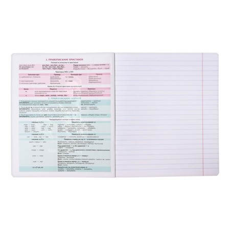 Subject notebook, 48 sheets, ruler, Russian language Erichkrause "Persons", plastic cover silk-screen covers, Bloc Offset 100%, information block-3