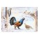 Demonstration paintings A3 "Wintering and migratory birds" Methodical material