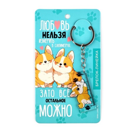 Keychain ruler for keys “love cannot be measured”, 2.4 x 10 cm