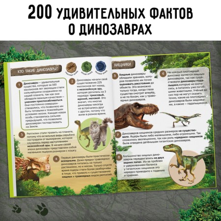 Encyclopedia "200 facts about dinosaurs", 48 p.-3