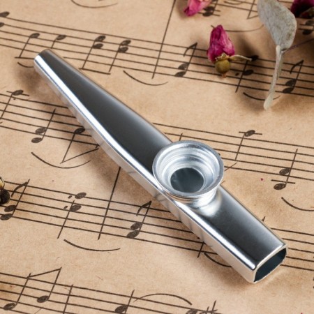Music Life Casket, Silver-1