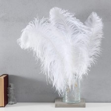 Feather of ostrich 35-40 cm, white