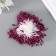 Stamens for flowers "droplets Gloss Bordeaux" set 300 pcs length 6 cm