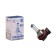 Car lamp Xenite Standart H11 (PGJ19-2)