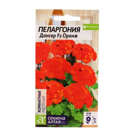 Seeds of flowers Pelargonium "Danser", orange, zonal, this. ALT, c/n, 4 pcs