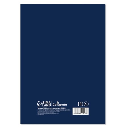 A4 notebook, 80 sheets in a cage on the crest of Calligrata "Monotone. Blue", cover 7BC, offset block-2